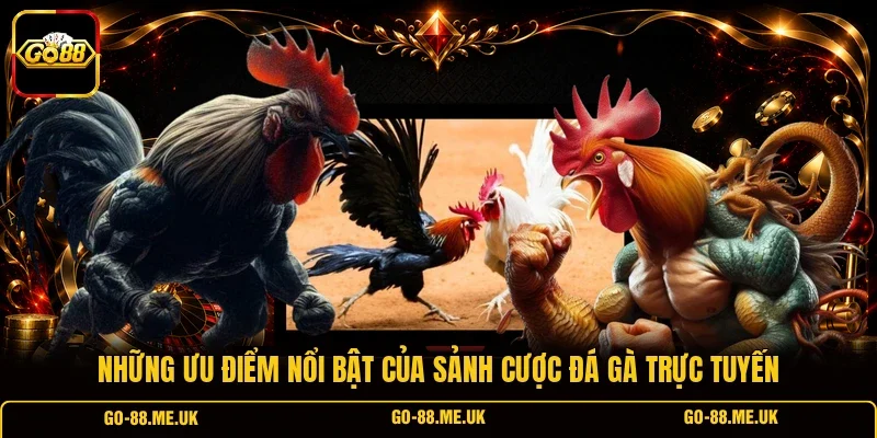Những ưu điểm nổi bật của sảnh cược đá gà trực tuyến